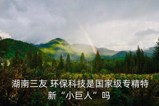  湖南三友 環(huán)?？萍际菄壹墝＞匦隆靶【奕恕眴? class=
