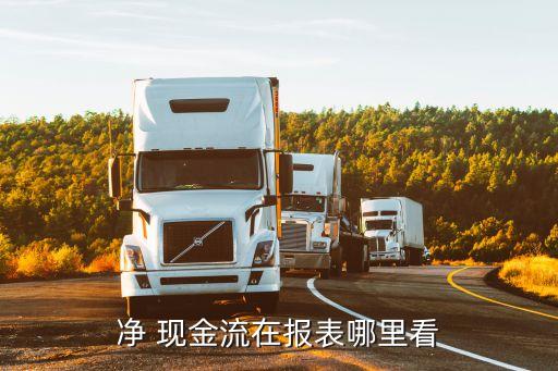 凈 現金流在報表哪里看