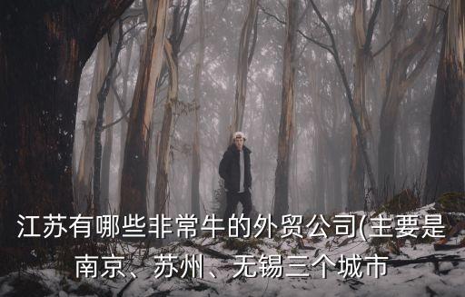 江蘇有哪些非常牛的外貿(mào)公司(主要是南京、蘇州、無(wú)錫三個(gè)城市