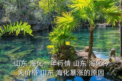  山東 ?；荒晷星?山東 ?；裉靸r(jià)格 山東 ?；q的原因
