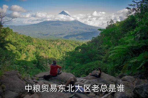 中糧貿易東北大區(qū)老總是誰