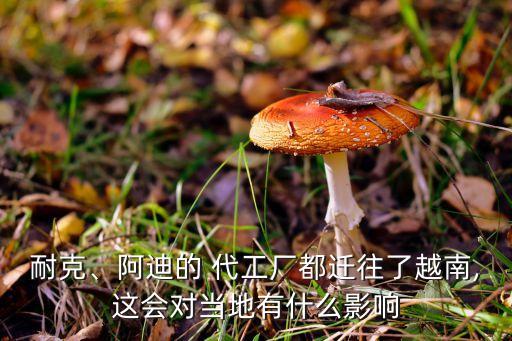 耐克、阿迪的 代工廠都遷往了越南,這會對當?shù)赜惺裁从绊? class=