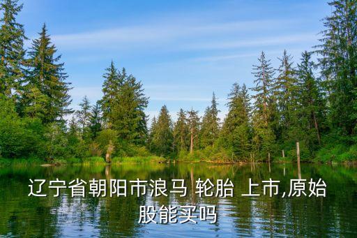 遼寧省朝陽(yáng)市浪馬 輪胎 上市,原始股能買(mǎi)嗎