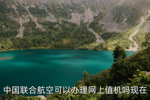 中國(guó)聯(lián)合航空可以辦理網(wǎng)上值機(jī)嗎現(xiàn)在