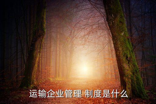 運(yùn)輸公司重大安全隱患報備制度,企業(yè)重大安全隱患首次報備時間
