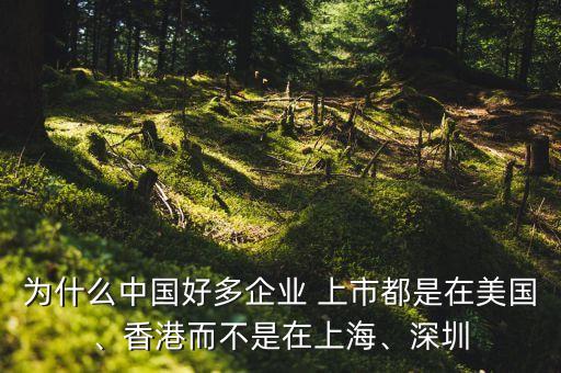為什么中國好多企業(yè) 上市都是在美國、香港而不是在上海、深圳