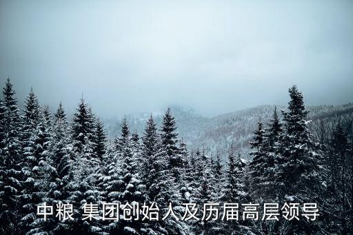  中糧 集團創(chuàng)始人及歷屆高層領導