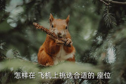 中國聯航飛機座位如何,聯航kn5882飛機座位分布圖