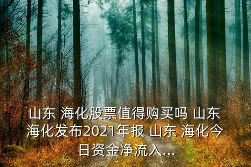 山東 ?；善敝档觅徺I嗎 山東 海化發(fā)布2021年報(bào) 山東 ?；袢召Y金凈流入...