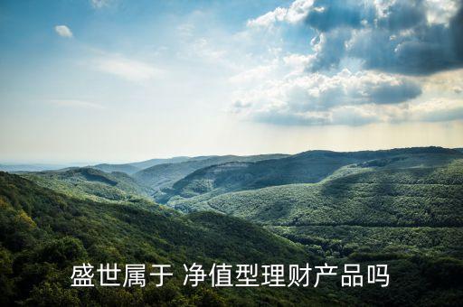 盛世屬于 凈值型理財產品嗎