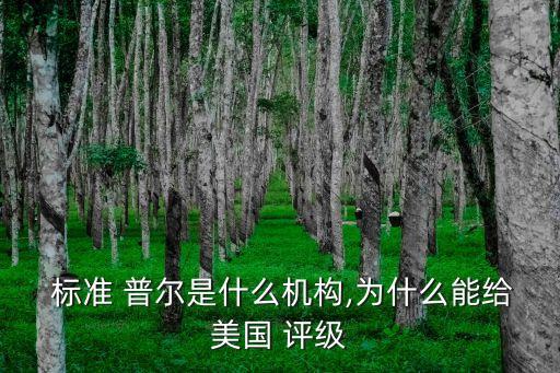 保險(xiǎn)公司標(biāo)準(zhǔn)普爾評級,2022年保險(xiǎn)公司風(fēng)險(xiǎn)評級