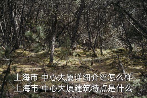  上海市 中心大廈詳細(xì)介紹怎么樣 上海市 中心大廈建筑特點是什么
