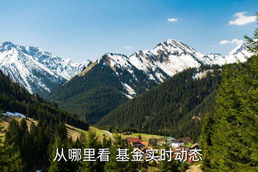從哪里看 基金實(shí)時動態(tài)