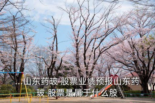 ...山東藥玻 股票業(yè)績預(yù)報(bào)山東藥玻 股票是屬于什么股