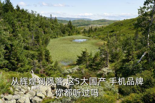 從輝煌到隕落,這5大國(guó)產(chǎn) 手機(jī)品牌你都聽(tīng)過(guò)嗎