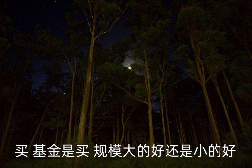 買(mǎi) 基金是買(mǎi) 規(guī)模大的好還是小的好