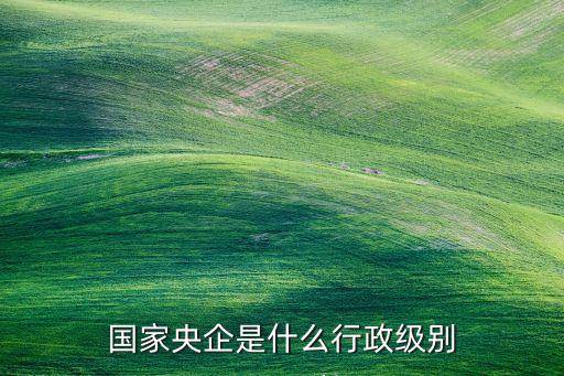 中國國資委網站,吉林省國資委網站