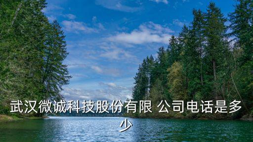 武漢微誠(chéng)科技股份有限 公司電話(huà)是多少