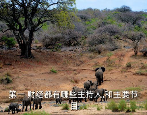 2013年中國財經新聞,中國最權威的財經新聞網站