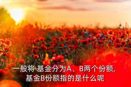 一般將 基金分為A、B兩個份額, 基金B(yǎng)份額指的是什么呢