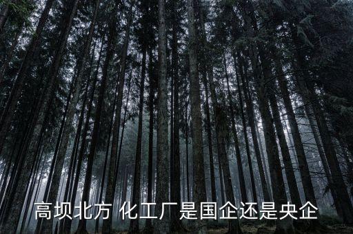 瀘州橫江化工有限公司,瀘州鑫?；び邢薰菊衅?/></a></span><span id=