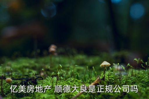 順德民營企業(yè)投資商會(huì),廣州市民營企業(yè)商會(huì)