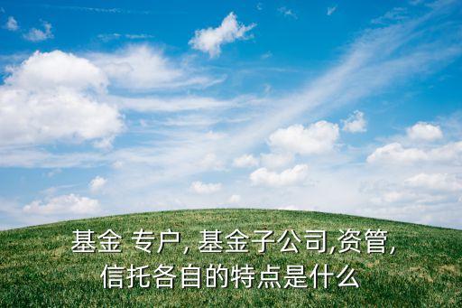  基金 專(zhuān)戶, 基金子公司,資管,信托各自的特點(diǎn)是什么