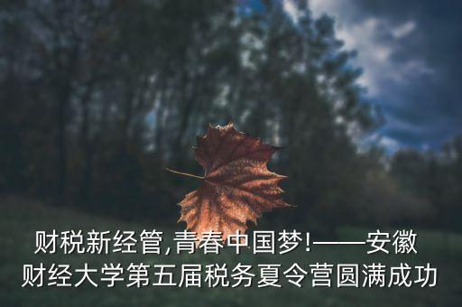 財稅新經(jīng)管,青春中國夢!——安徽 財經(jīng)大學第五屆稅務(wù)夏令營圓滿成功