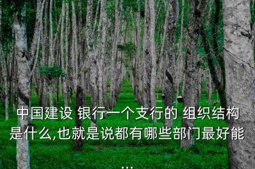 中國建設 銀行一個支行的 組織結(jié)構(gòu)是什么,也就是說都有哪些部門最好能...
