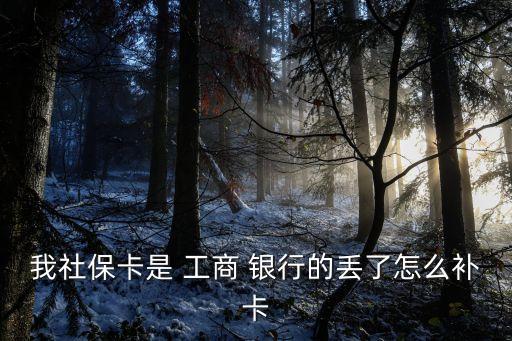 我社?？ㄊ?工商 銀行的丟了怎么補卡
