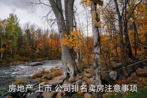 房地產 上市 公司排名賣房注意事項