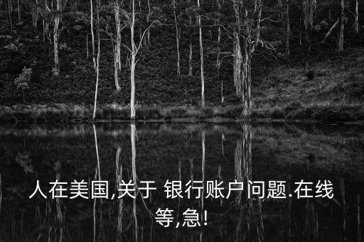 人在美國(guó),關(guān)于 銀行賬戶問(wèn)題.在線等,急!