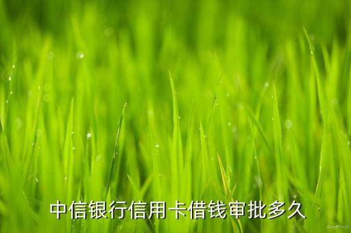  中信銀行信用卡借錢(qián)審批多久