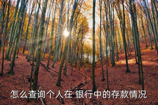 怎么查詢(xún)個(gè)人在 銀行中的存款情況