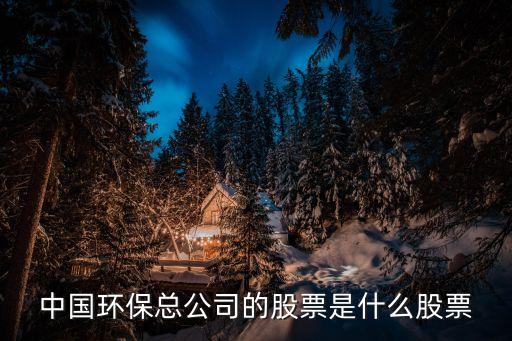 中國環(huán)?？偣镜墓善笔鞘裁垂善? class=