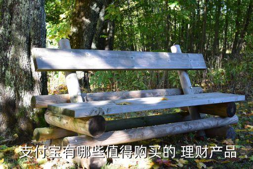  支付寶有哪些值得購買的 理財(cái)產(chǎn)品