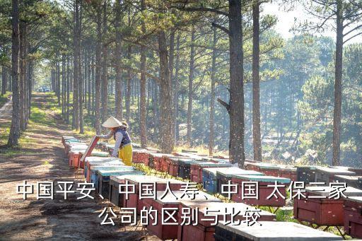 中國(guó)平安、中國(guó)人壽、中國(guó) 太保三家公司的區(qū)別與比較