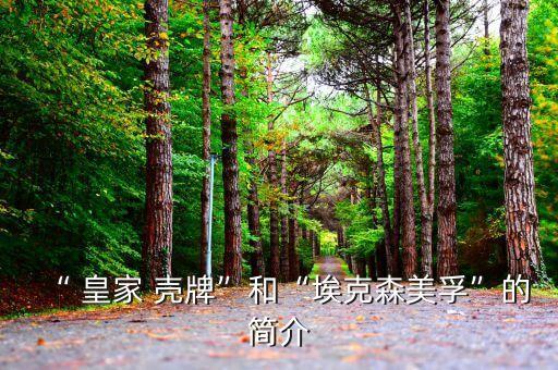“ 皇家 殼牌”和“?？松梨凇钡暮喗? class=