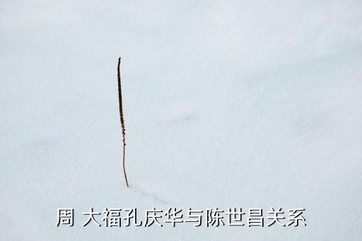 周 大?？讘c華與陳世昌關(guān)系