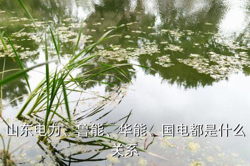 山東電力、魯能、華能、國電都是什么關(guān)系