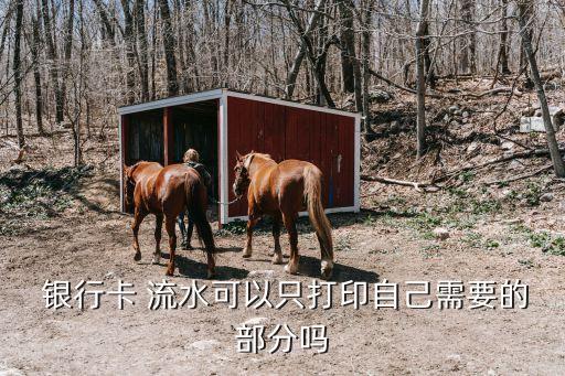 銀行流水專(zhuān)用章圖片