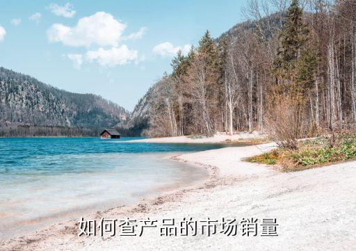 公司銷(xiāo)售數(shù)據(jù)