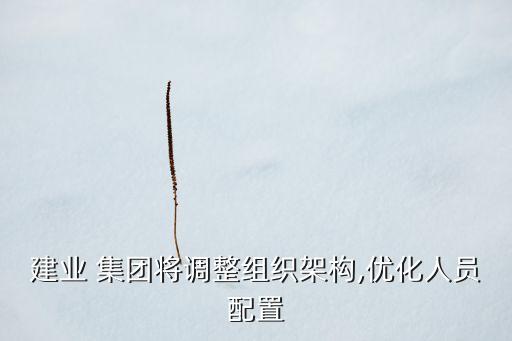 建業(yè) 集團將調(diào)整組織架構(gòu),優(yōu)化人員配置