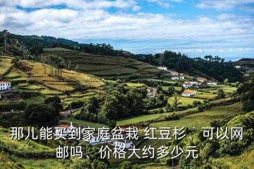 那兒能買(mǎi)到家庭盆栽 紅豆杉、可以網(wǎng)郵嗎、價(jià)格大約多少元