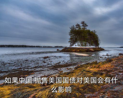 如果中國 拋售美國國債對美國會(huì)有什么影響