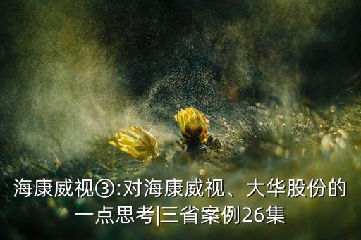 ?？低暍?對(duì)海康威視、大華股份的一點(diǎn)思考|三省案例26集