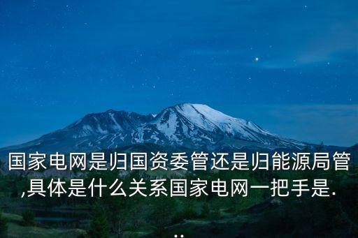 國(guó)家電網(wǎng)是歸國(guó)資委管還是歸能源局管,具體是什么關(guān)系國(guó)家電網(wǎng)一把手是...