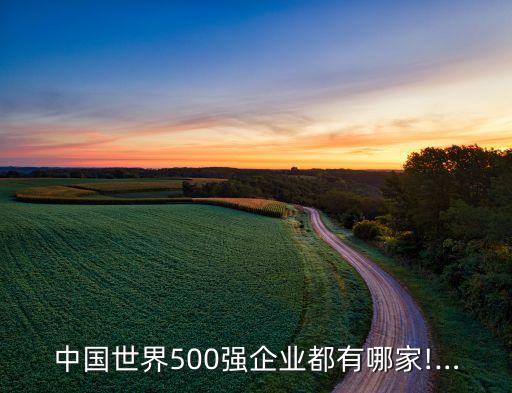 中國世界500強企業(yè)都有哪家!…