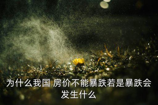 中國房?jī)r(jià)失控內(nèi)幕