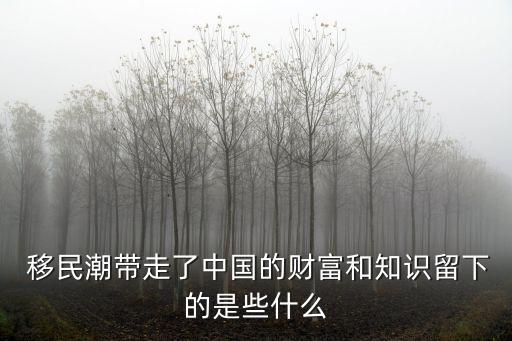  移民潮帶走了中國的財(cái)富和知識(shí)留下的是些什么